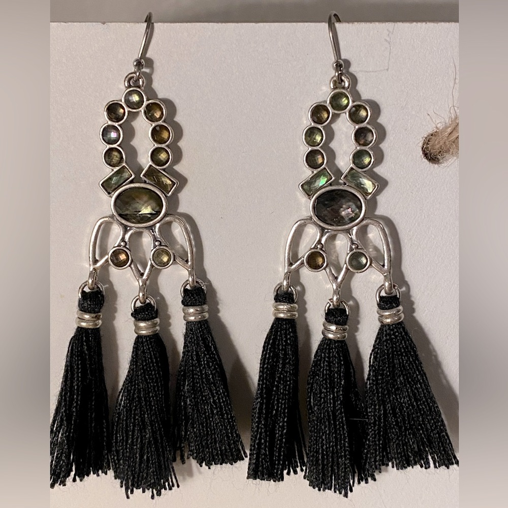 Silver colored black tassel earrings
